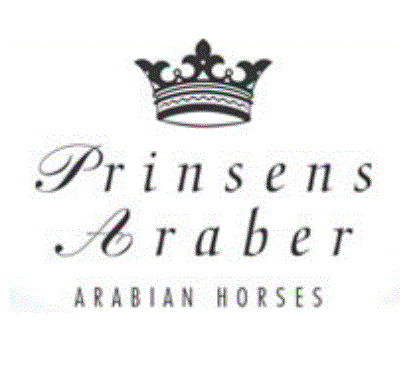 Prinsens Araber